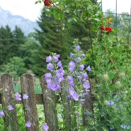 팜스테이 Bauernhof 