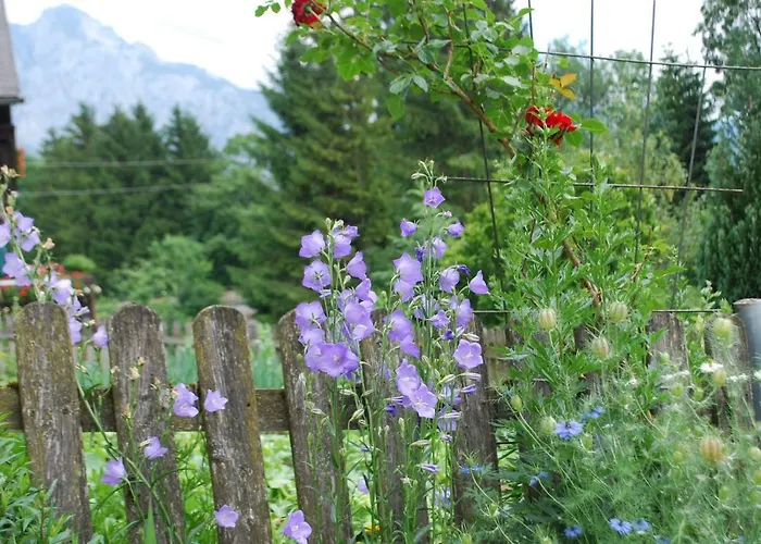 Çiftlik konaklama Bauernhof 